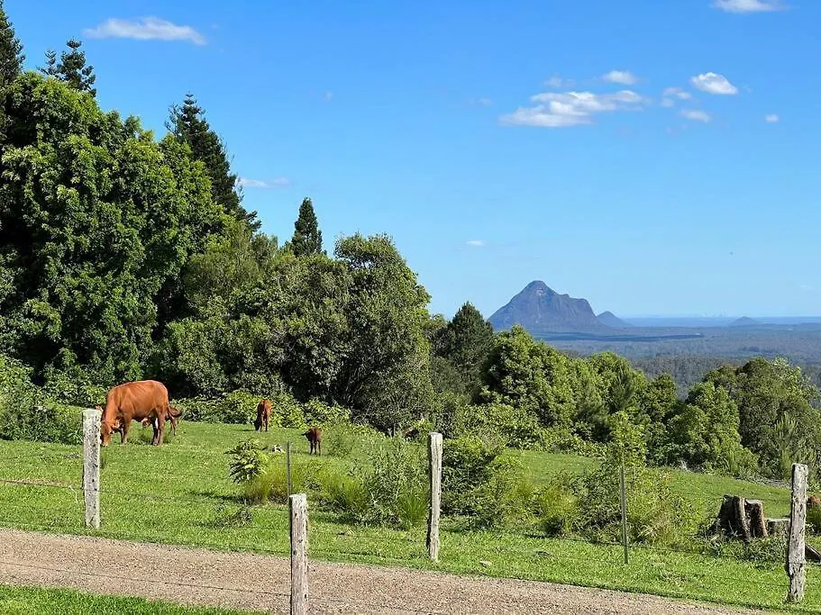 Wild Rosemary Lodge Maleny